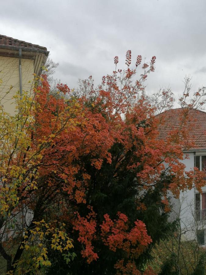 Gaestehaus Goethe-Institut Schwäbisch Hall Zewnętrze zdjęcie